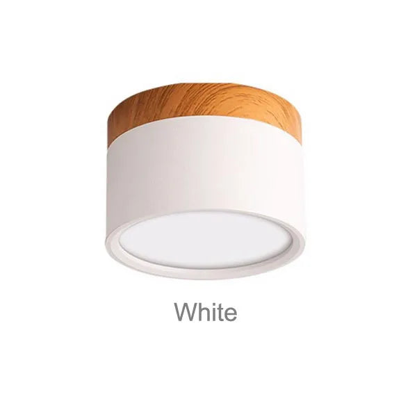 LED Downlight Dimmable Surface Mounted Spotlight, Modern Aluminium – Caspri